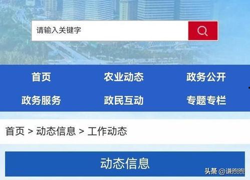 鹤壁热点爆料事件最新,最新事件引发社会热议，真相即将揭晓！